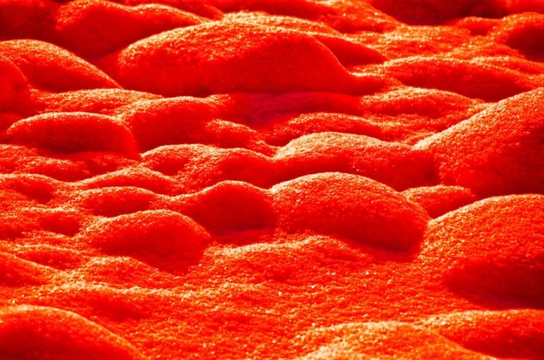 Viral Salmon Pillow Review: Comfort or Just a Meme?